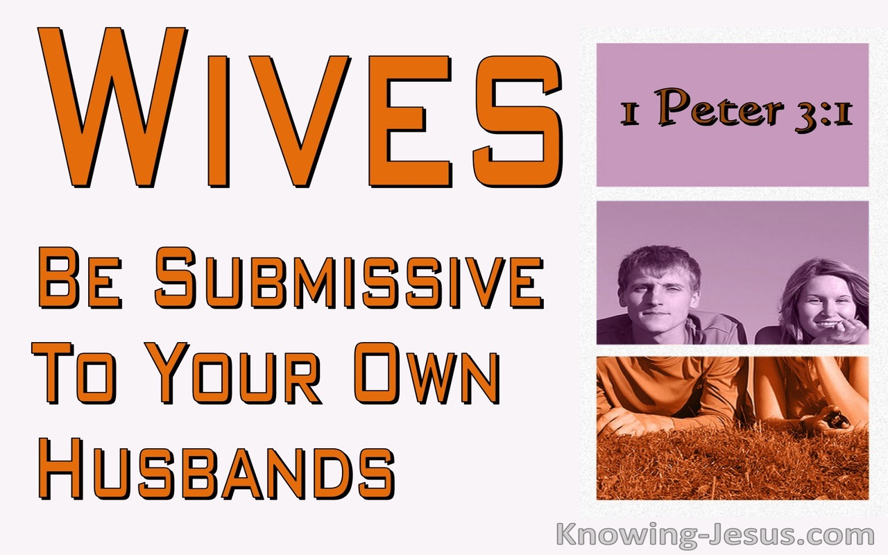 1 Peter 3:1 Wives Be Submissive To Your Own Husbands (pink)